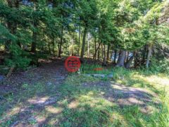加拿大安大略省Muskoka Lakes的独栋别墅，2115 Lake Muskoka，编号65857231