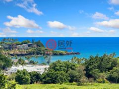 美国夏威夷离休岛的独栋别墅，2938 Mokoi St，编号73404037