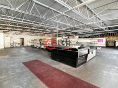 美国密歇根州Walkerville的零售，None 117 Main Street，编号76881701