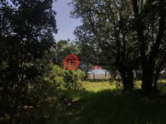 智利Los RiosLago Ranco的独栋别墅，Lago Ranco Calcurrupe 161498，编号56185640
