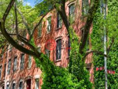 美国纽约州纽约的公寓，270 West 11th Street 3G，编号77666575