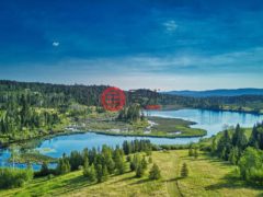 加拿大不列颠哥伦比亚省Princeton的农场，1000 Halfway Lake Road，编号74591640